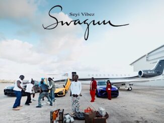 Seyi Vibez – SWAGUU Mp3 Download