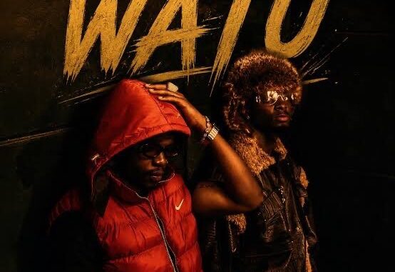 Marioo Ft. D Voice – Watu Mp3 Download
